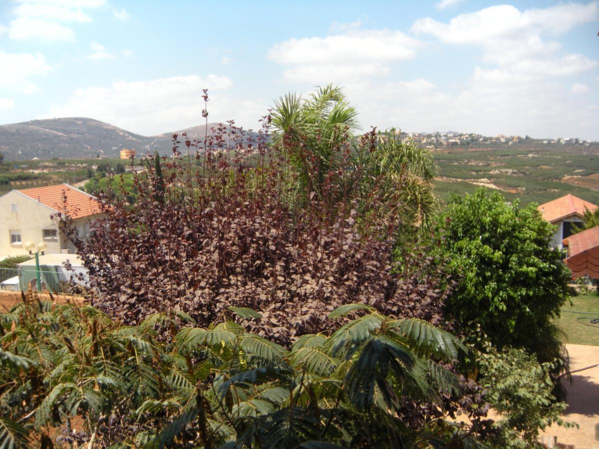 In Our Backyard - Metula Villa Exterior foto